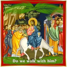 Palm Sunday (6th Sunday of Lent) Year A ~ March 26, 2023