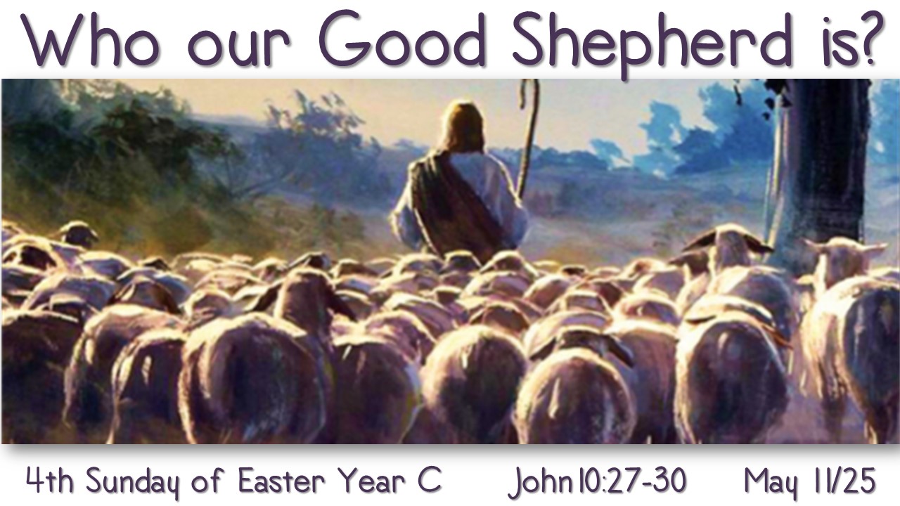 4th SUNDAY YEAR C ~ MAY 11, 2025